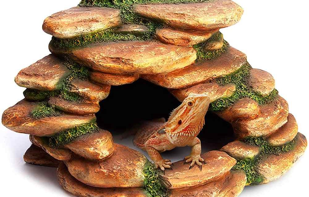 10 Best Bearded Dragon Hides and Caves