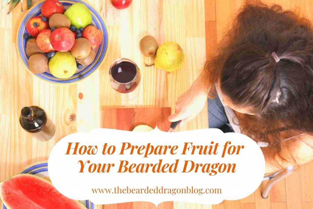 How to Prepare Fruit for Your Bearded Dragon